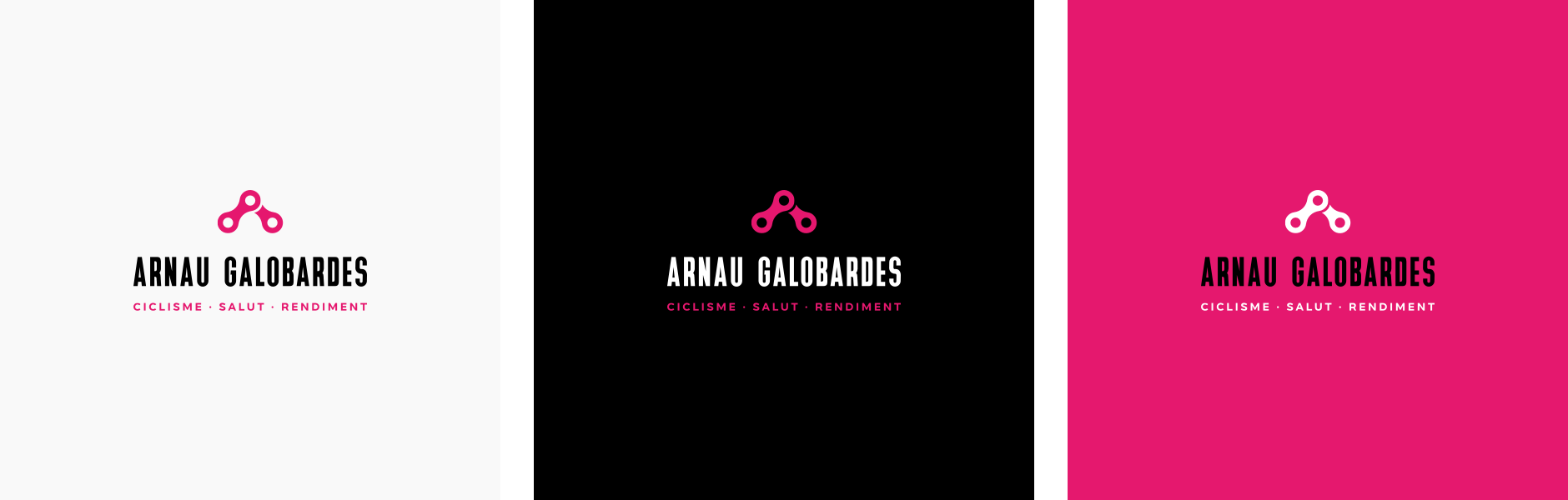 Projecte Arnau Galobardes